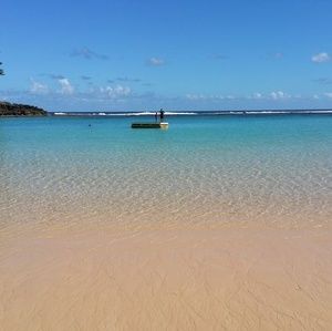 Meet your Posher, Liz